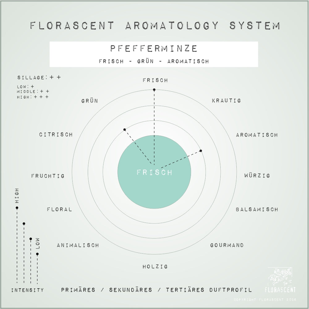 PFEFFERMINZE Aroma Spray