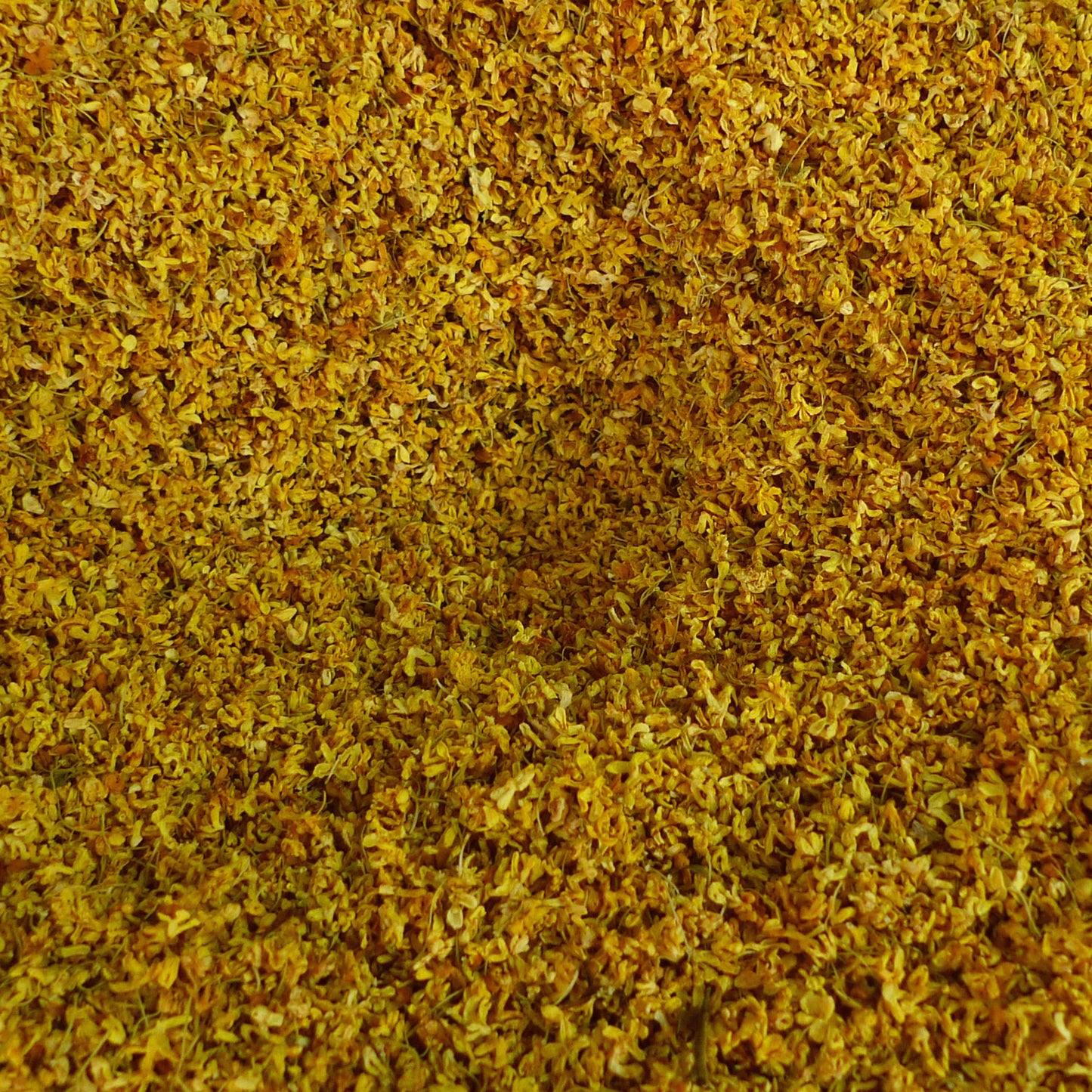 OSMANTHUS