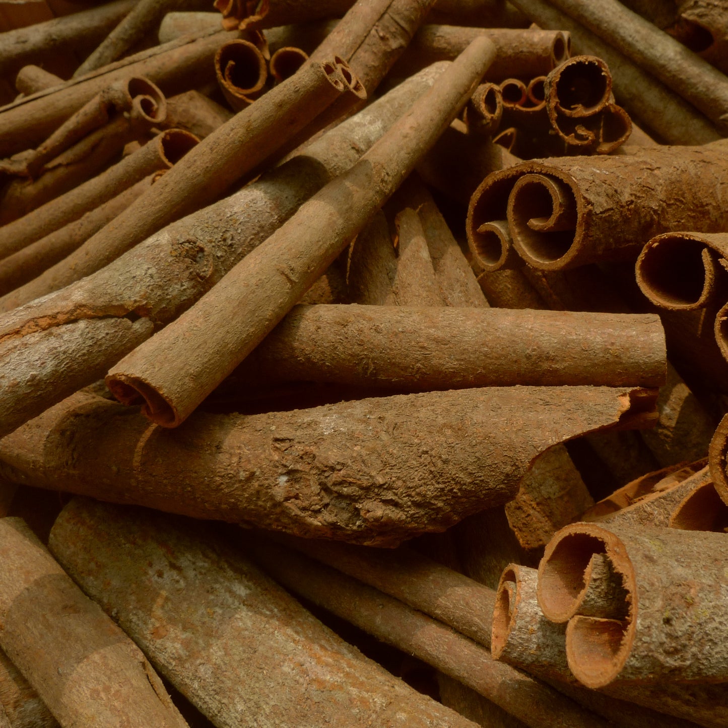 CINNAMOMUM VERUM Raumduft