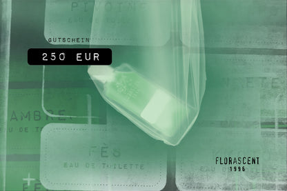 Gutschein 250 EUR