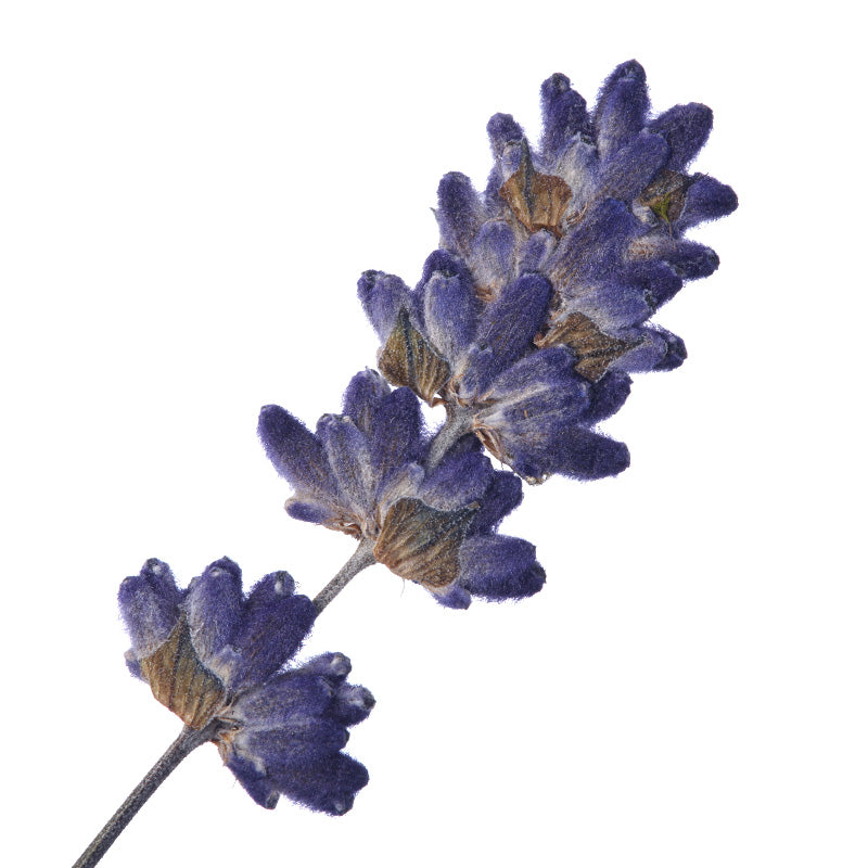 LAVENDEL Aroma Spray