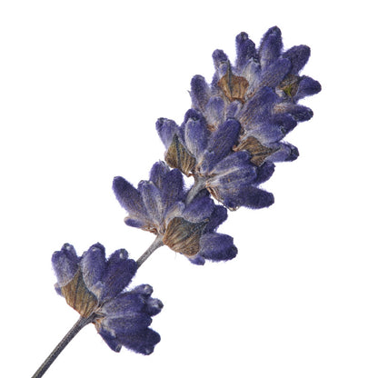 LAVENDEL Aroma Spray