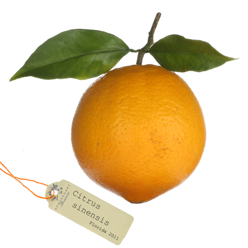 ORANGE süß - Aroma Spray