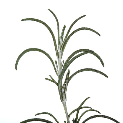 ROSMARIN Aroma Spray