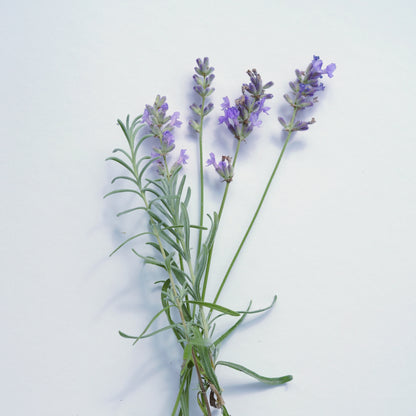 LAVENDEL Aroma Spray