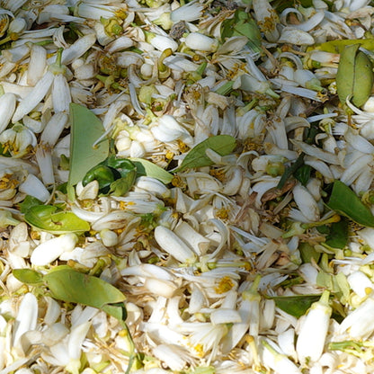 NEROLI Aroma Spray