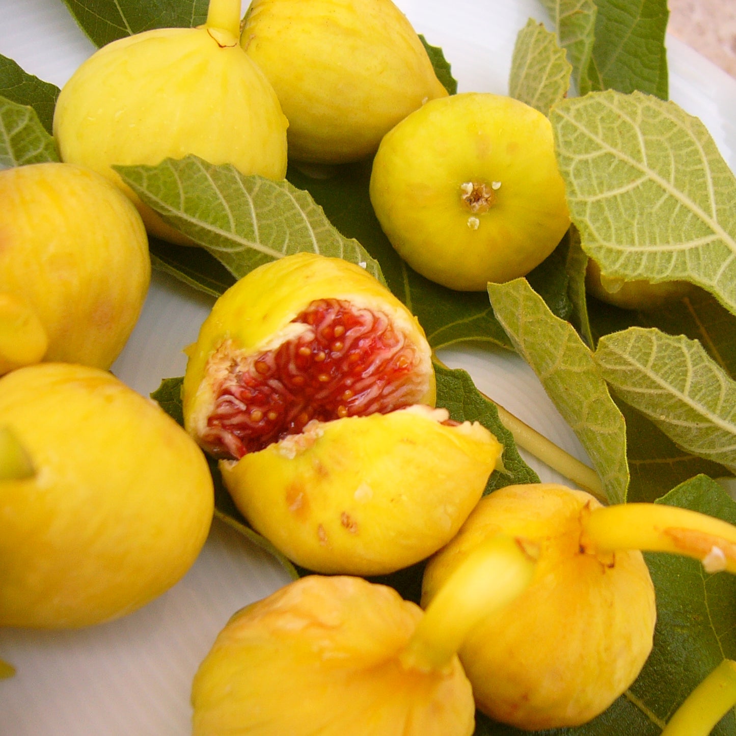 SICILIAN BERGAMOT Raumduft