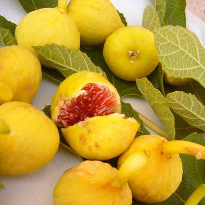 SICILIAN BERGAMOT Raumduft