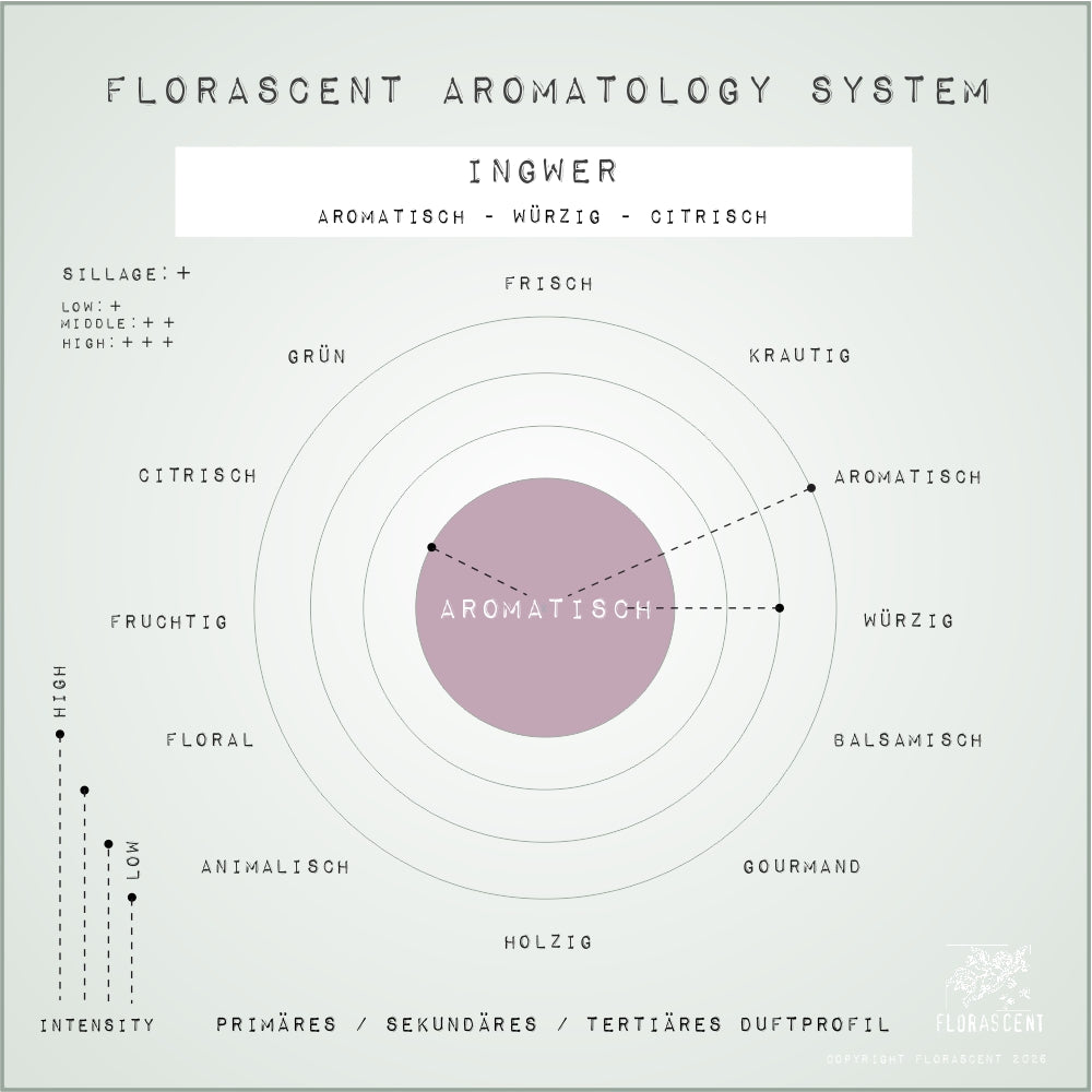 INGWER Aroma Spray
