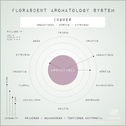 INGWER Aroma Spray