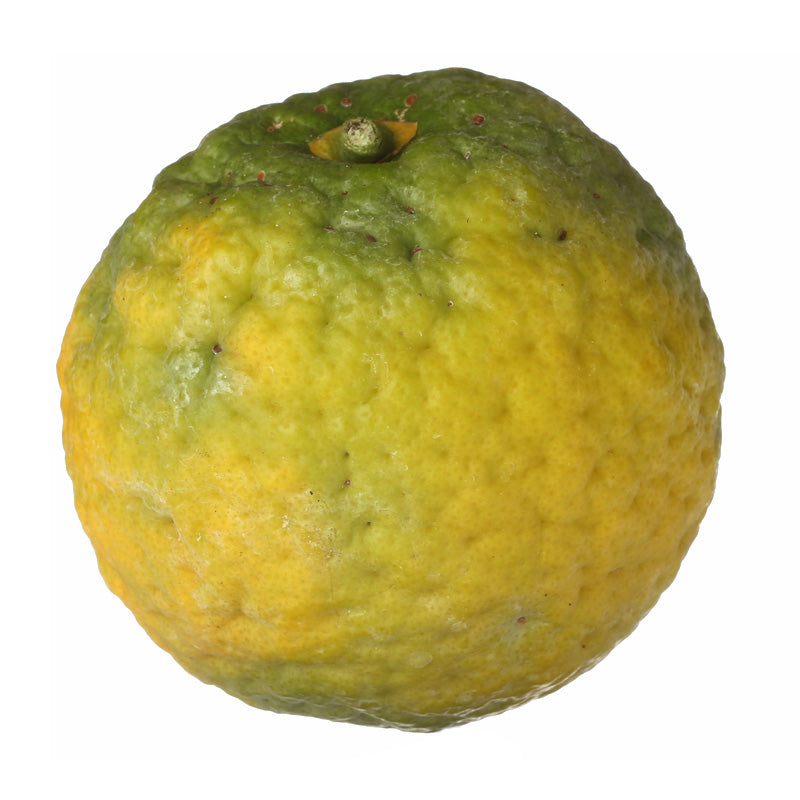 BERGAMOT Aroma Spray