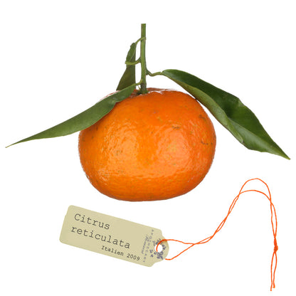 MANDARINE Aroma Spray