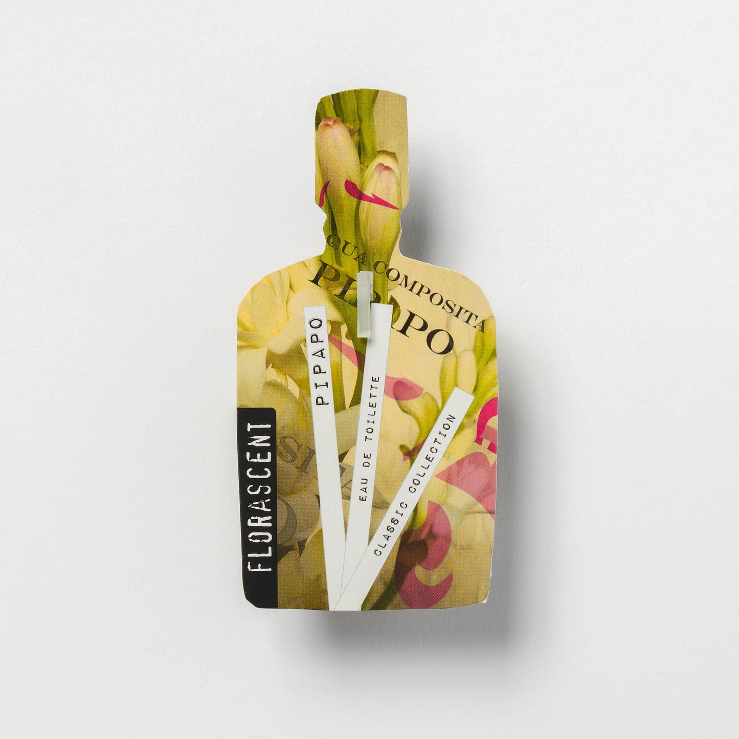 PIPAPO