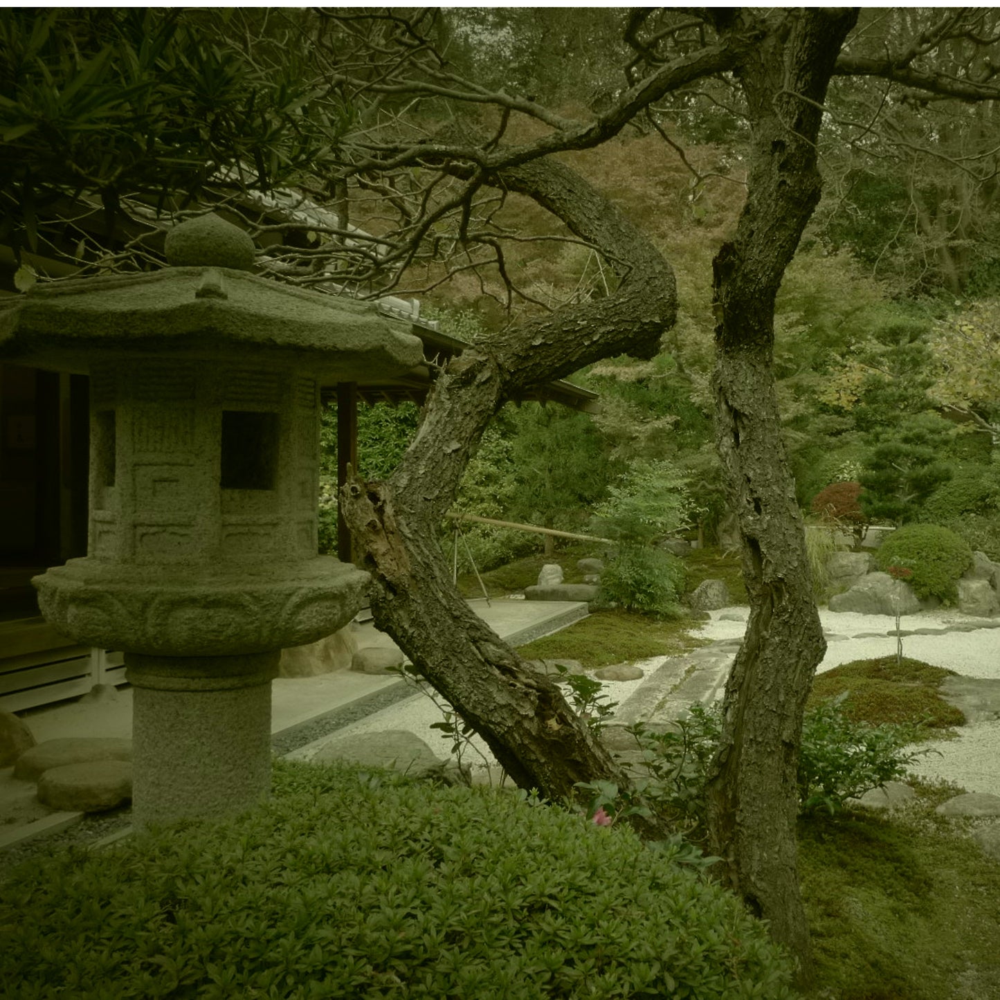 VOYAGE à KYOTO