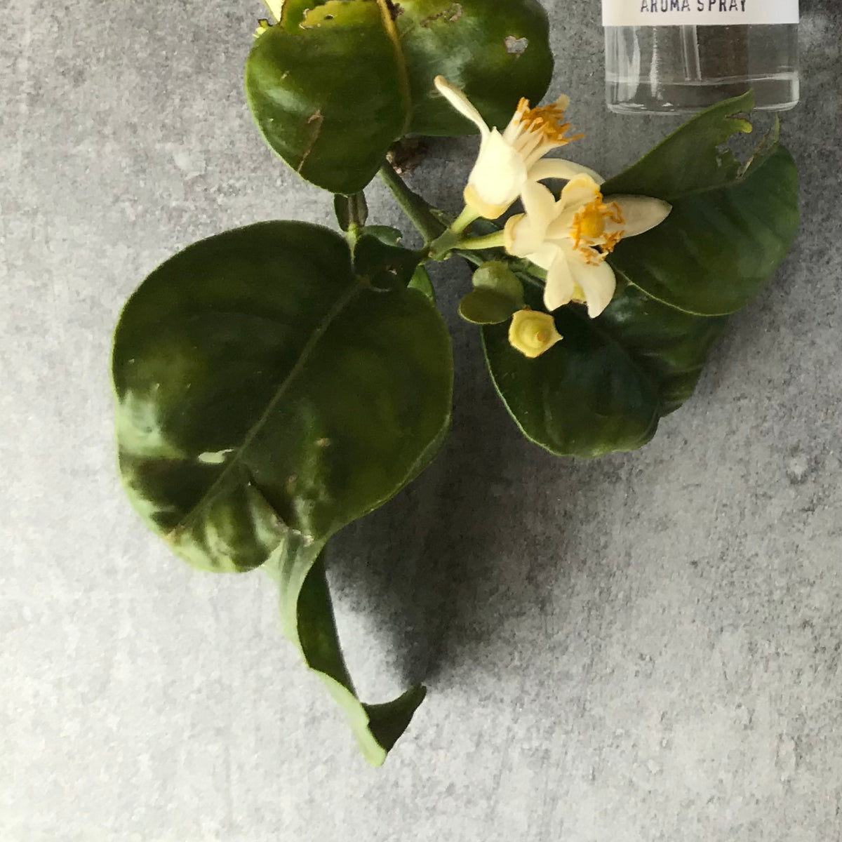 NEROLI Aroma Spray