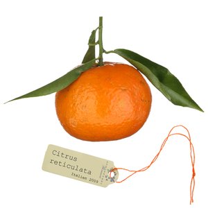 Mandarine - Aromatherapy Spray - 15ml