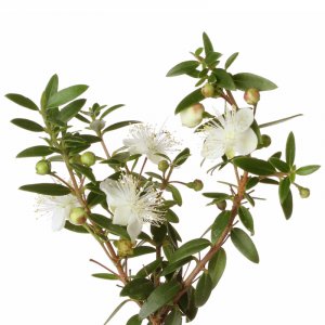 MYRTE Aroma Spray