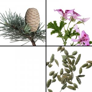 Power Up Aroma Spray