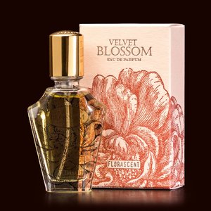 Velvet Blossom - Eau de Parfum